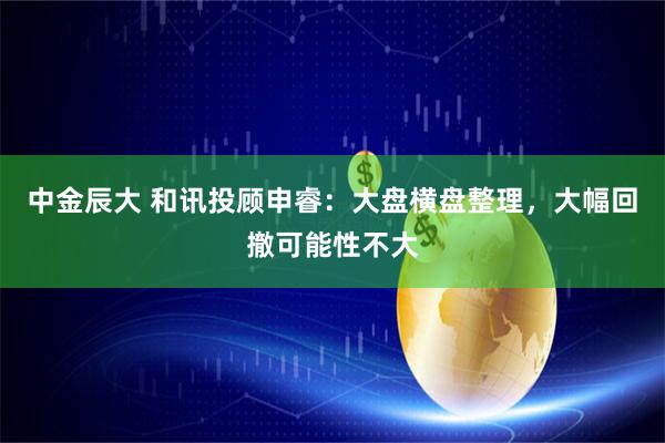中金辰大 和讯投顾申睿：大盘横盘整理，大幅回撤可能性不大