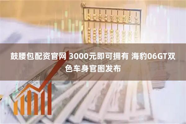 鼓腰包配资官网 3000元即可拥有 海豹06GT双色车身官图发布